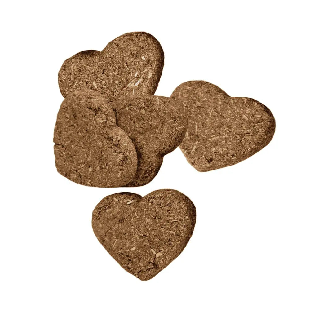 ORGANIC REWARDS BARLEY BISCUITS