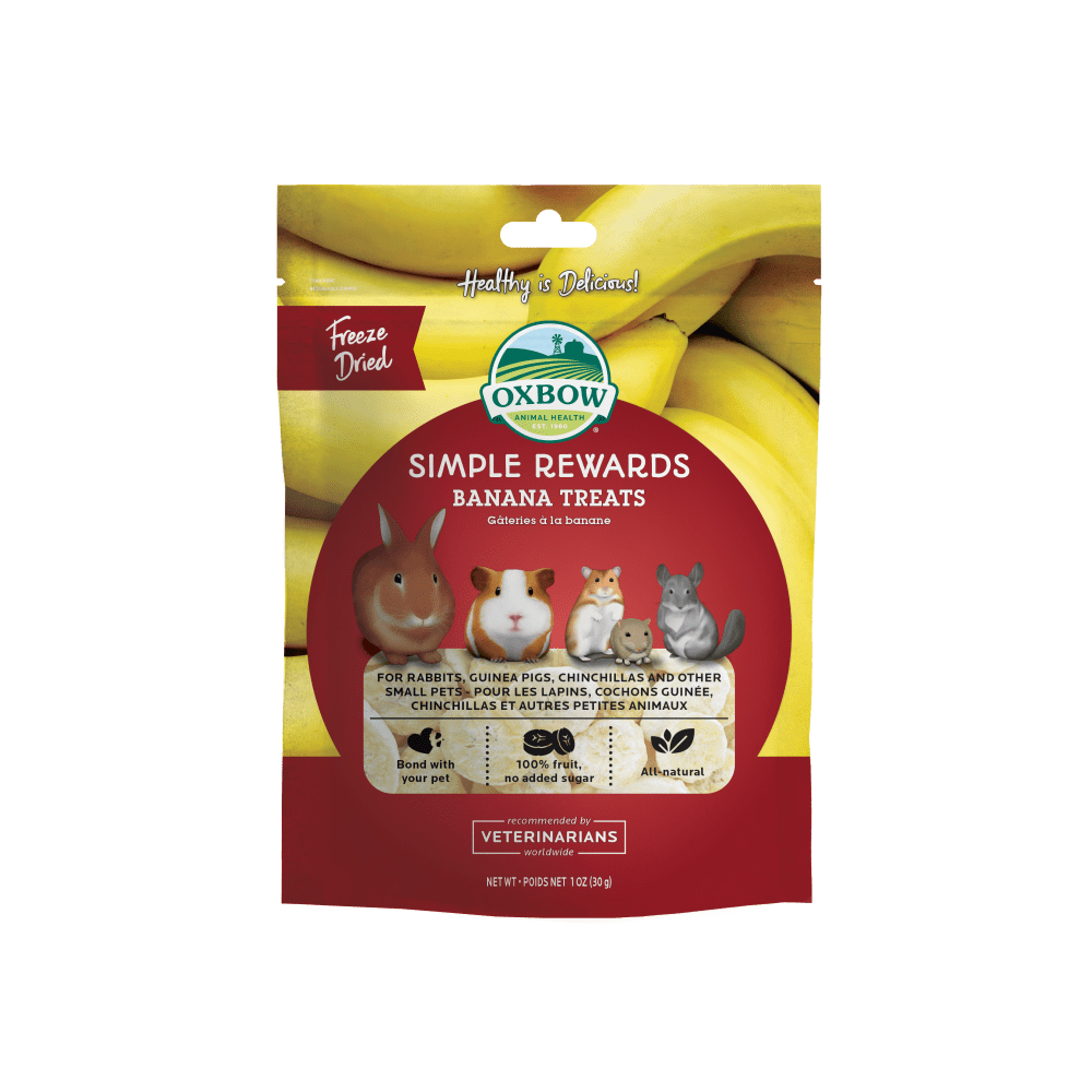 SIMPLE REWARDS BANANA TREATS