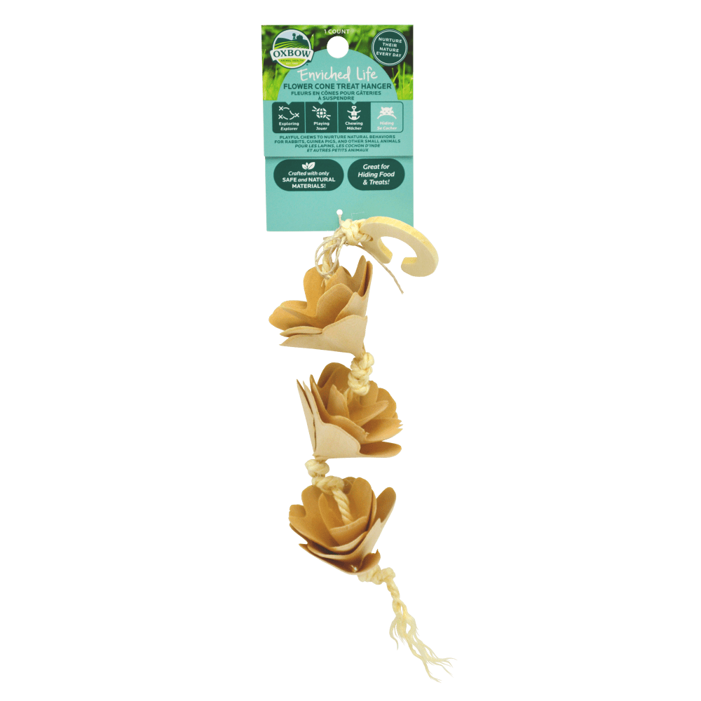 ENRICHED LIFE – FLOWER CONE TREAT HANGER