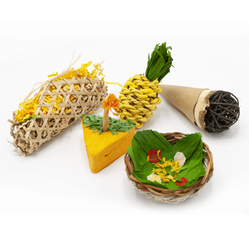 ENRICHED LIFE – CELEBRATION PARTY PACK