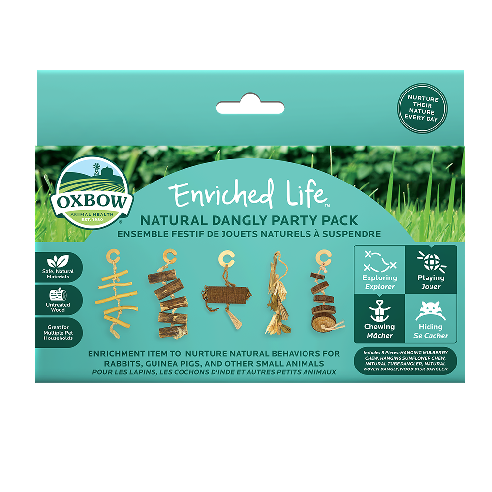 ENRICHED LIFE – NATURAL DANGLY PARTY PACK