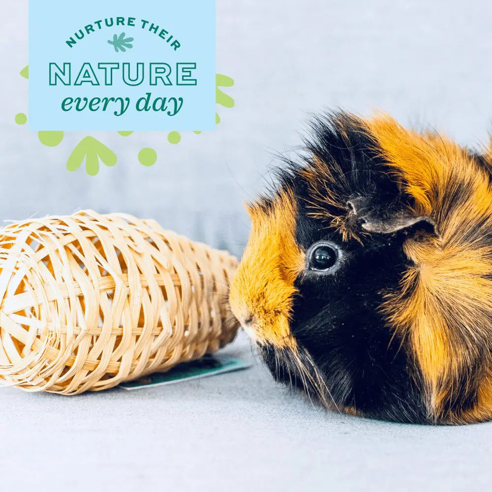 Oxbow Enriched Life Maraca Chew