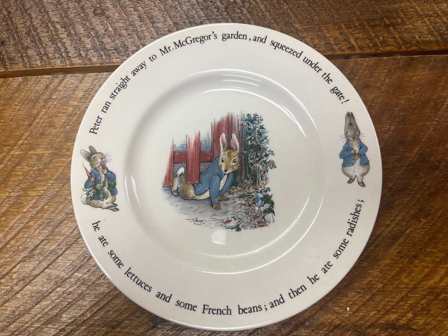 Peter Rabbit Mr McGregor's Garden Plate
